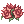 [Visual] Flores do Amanhecer