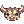 [Visual] Crânio Ancião