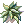Peruca de Samambaia
