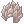 [Visual] Cabelo de Super Saiadim Ultra