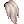 [Visual] Rabo de Cavalo Branco