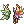 [Visual] Coroa Colorida