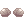 [Visual] Coque Puro