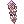 Trança de Violeta