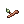 [Visual] Nariz de Galho