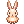 [Visual] Coelho Laranjinha