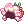 [Visual] Flor-de-Sino