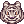 [Visual] Tigre Branco