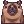 [Visual] Capivara
